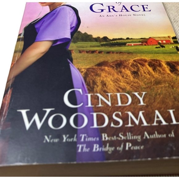 The Harvest of Grace: Book 3 in the Ada's House Amish Romance Series (an Ada's H - Picture 3 of 11